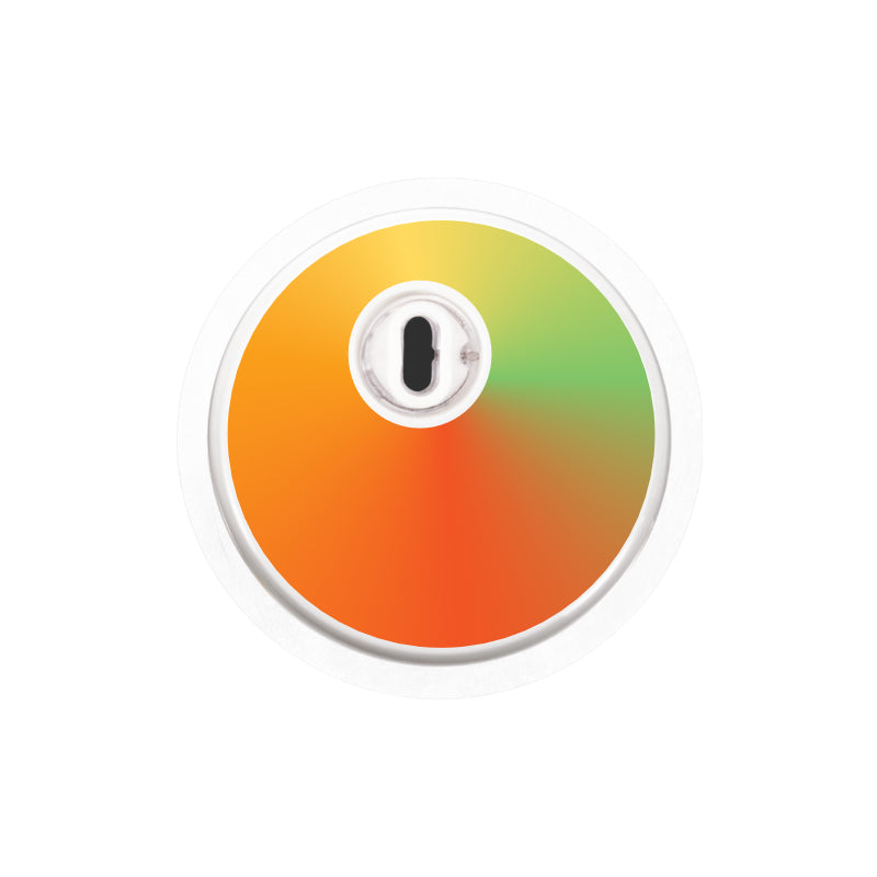 Freestyle Libre 3 Sensor Stickers (Citrus Prints) 6 pack