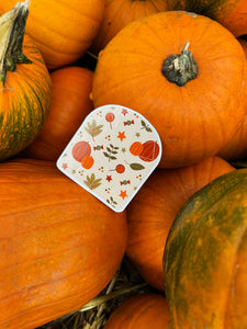 Omnipod Cover Sticker (Pumpkin Spice)