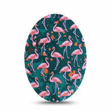 ExpressionMed Flamingos Adhesive Patch Oval