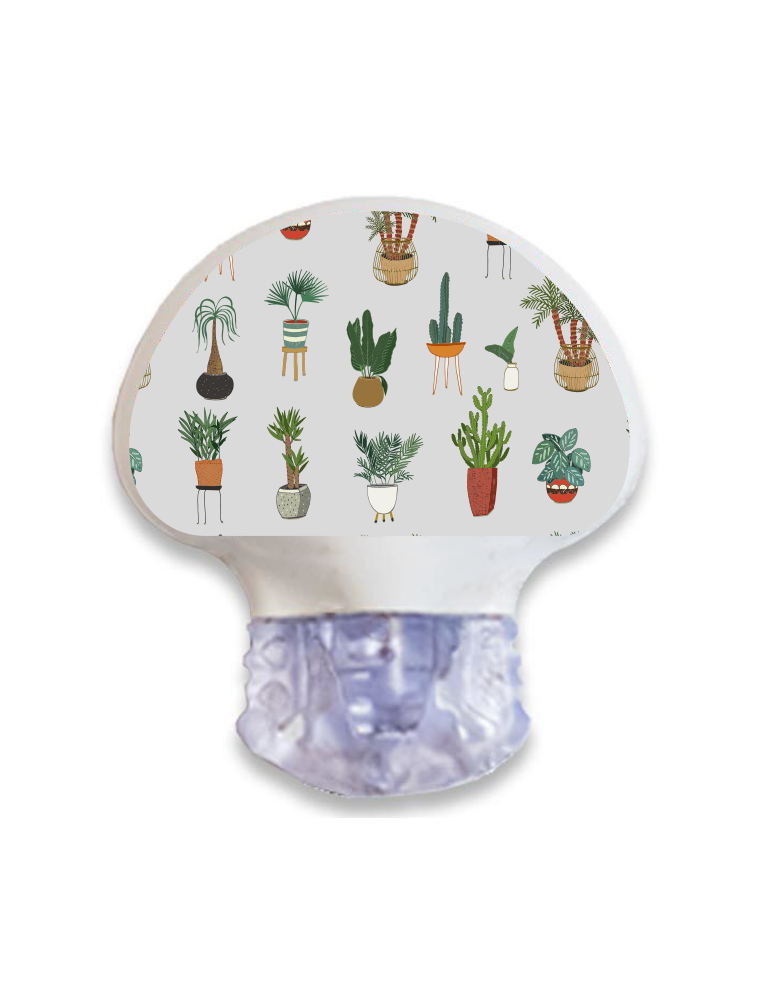 Enlite/Guardian Sensor Sticker (Super Succulents)