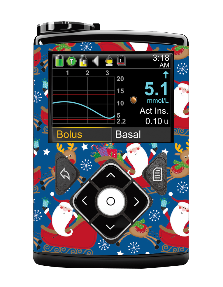 Medtronic 640/670/780G Pump Sticker (Sleigh Ride)